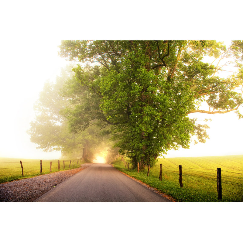 Into the Light - Photographie sur toile tendue, L 12 po x H 8 po