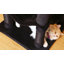 Grand condo 64 "pour chat-848029376-837164606