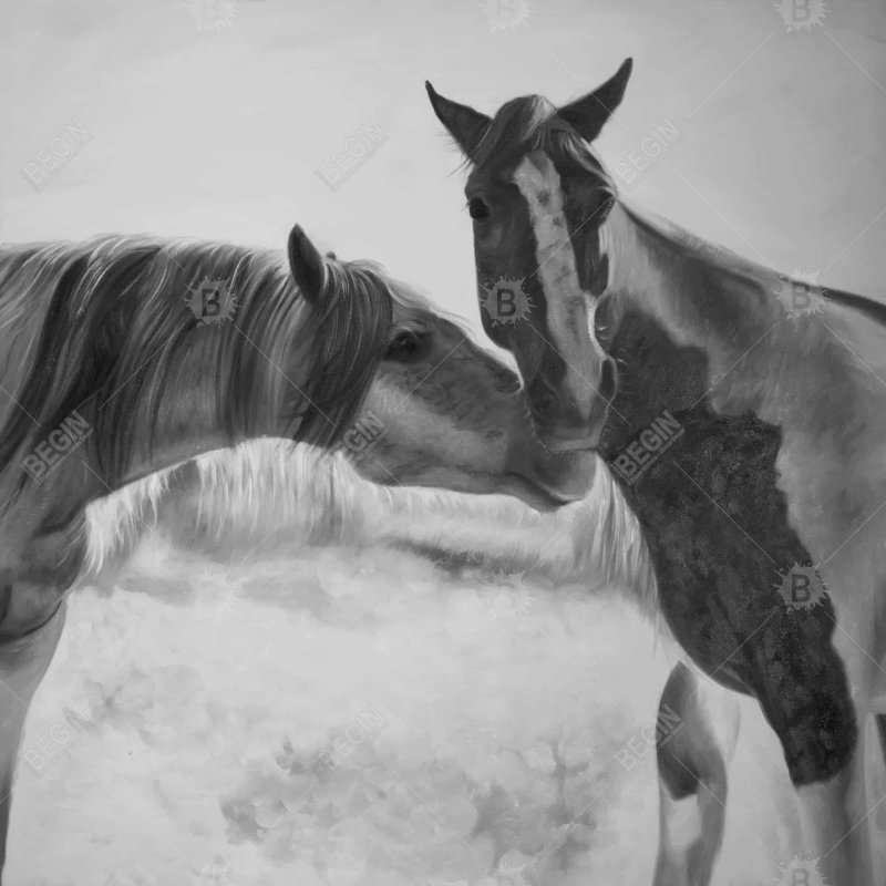 " Horses Lover "