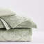 Couette en velours très grand / très grand - 4 pièces avec 2 taies décoratives et coussin décoratif, fermeture à boutons chaude et brillante