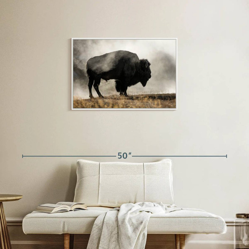 Geyser Basin, Floating Frame White, 31" X 21"