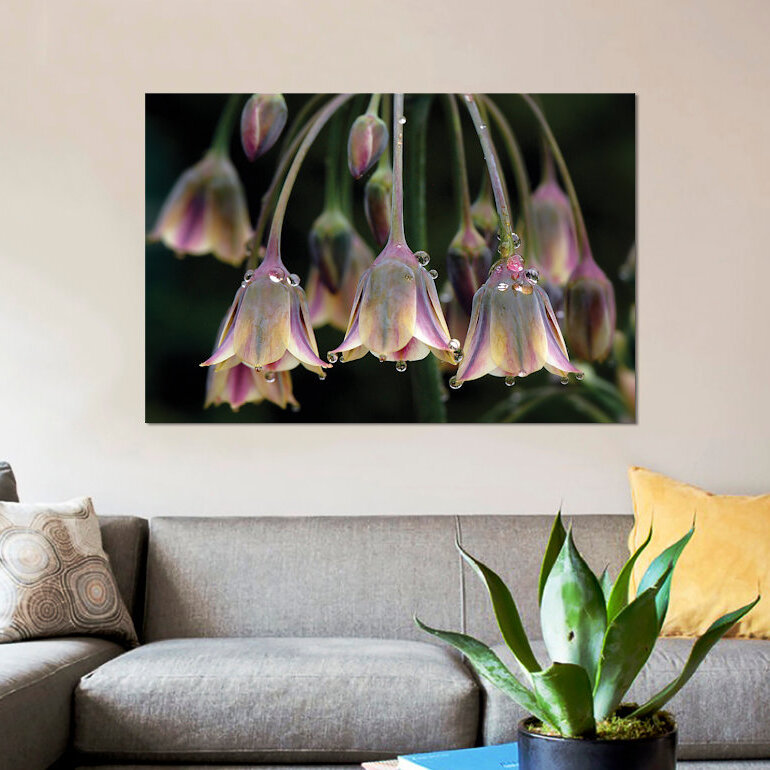 «Dew Bells» par Jacky Parker - impression sur toile tendue, H 18 po x l 26 po x P 1,5 po, Toile tendue, Pas de tapis