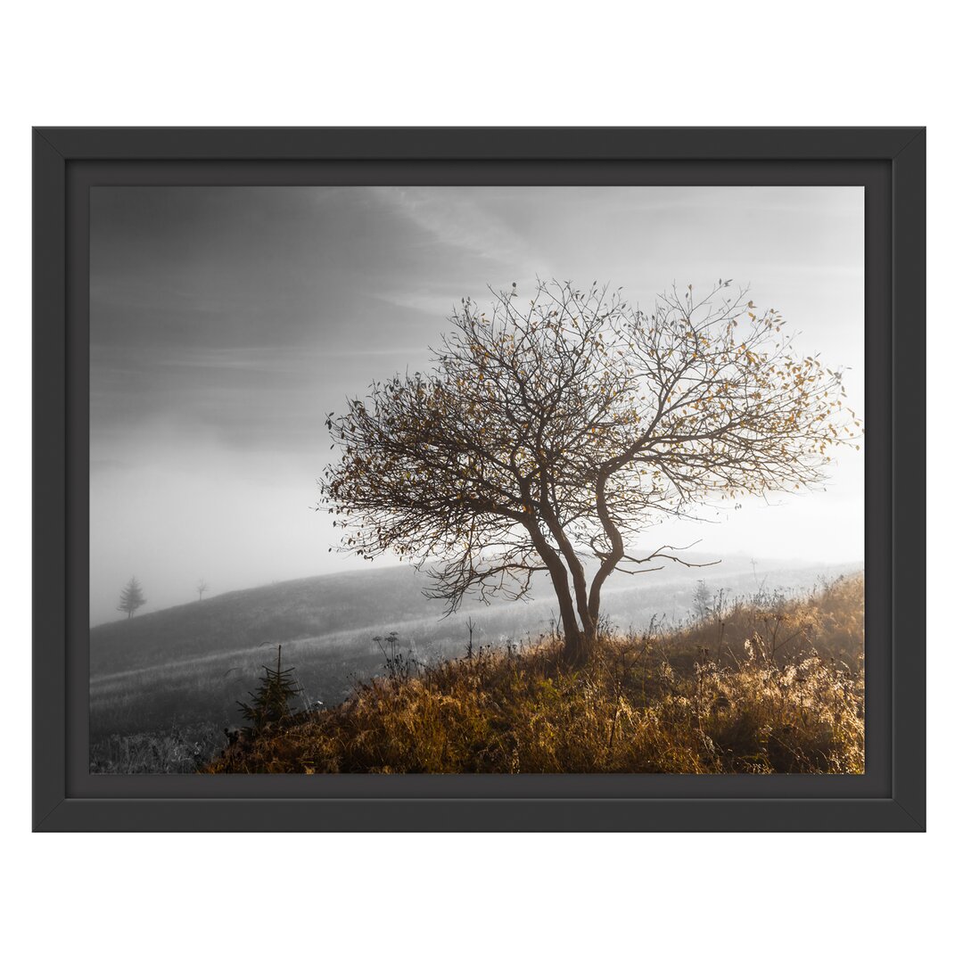 Gerahmtes Wandbild Einsamer Baum auf Berg