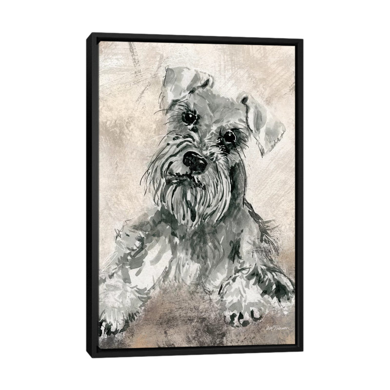 « sketchy study : schnauzer », impression sur toile, H 26 po x l 18 po x P 1,5 po, Toile avec cadre noir, Pas de tapis