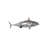 Mackerel Fish Wall Décor
