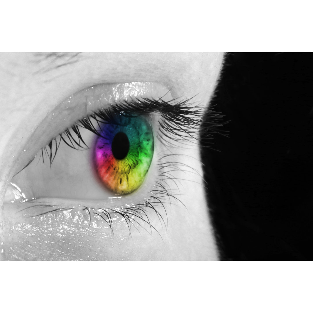 Rainbow Eyes von Santiaga - Leinwandbild