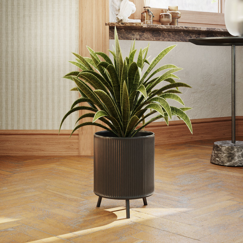 Clemansa Everett Pot with Nyra Base, 10.5" H x 8" W x 8" D, Black