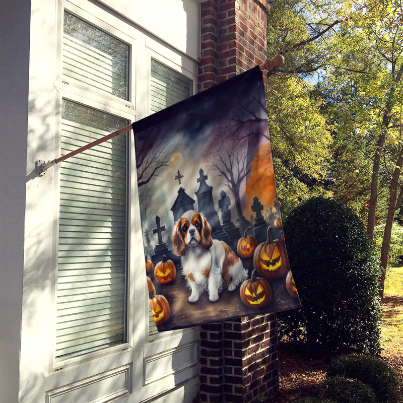 Drapeau de maison d'Halloween en polyester à double face H 40 po x l 28 po