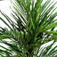 Artificial Palm Tree in Pot-88980147
