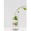 Vase en verre Everly Quinn-14514182