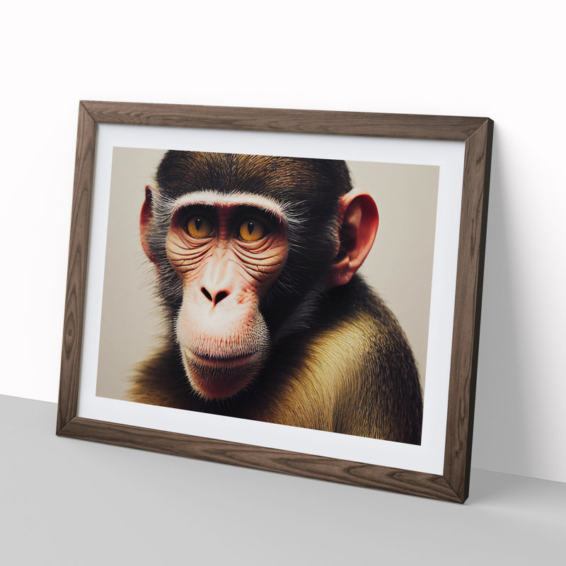Monkey - Framed Print, 34cm H x 46cm W x 2cm D, Brown Framed