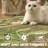 Animals Print Washable Ultra-Thin Non-Slip Area Rug-898163500-889943158