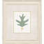 Leaf Adorned II Set by Giclee Studio