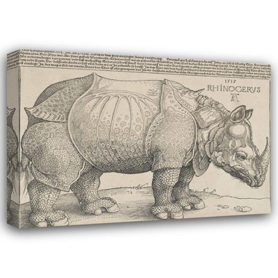 Rhinoceros