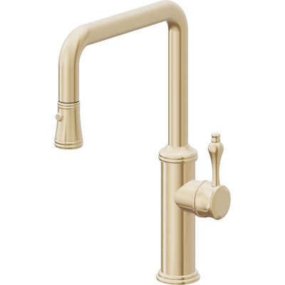 Davoli Kitchen Faucet