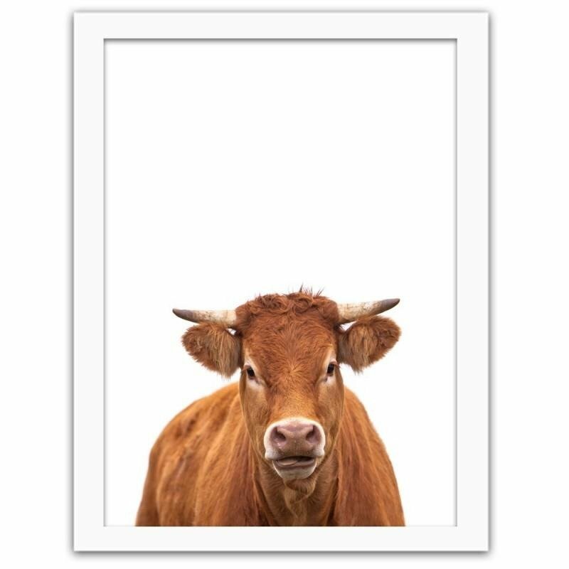 Gerahmtes Poster Cow Portrait