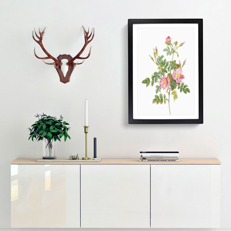 Sweet Briar Roses in Pink by Pierre-Joseph Redoute - Picture Frame Art Prints, 65cm H x 48cm W x 2cm D, Black Framed