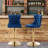 Daijiah Swivel Upholstered Adjustable Height Counter Stool-789313966-789313963