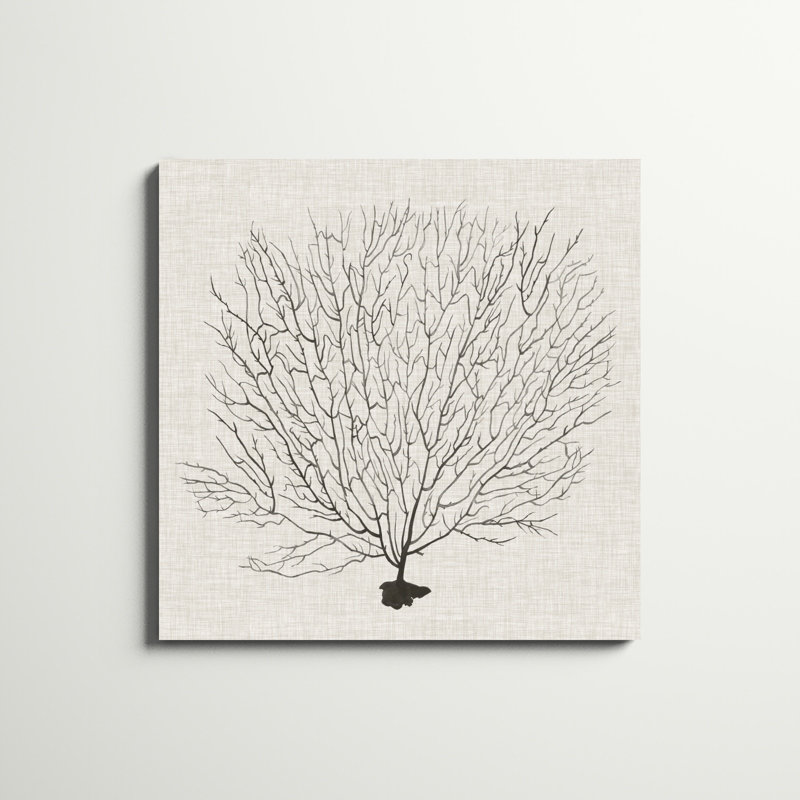 «Shadow Sea Fan II» par Grace Popp, impression sur toile, H 36 po x l 36 po, Toile tendue