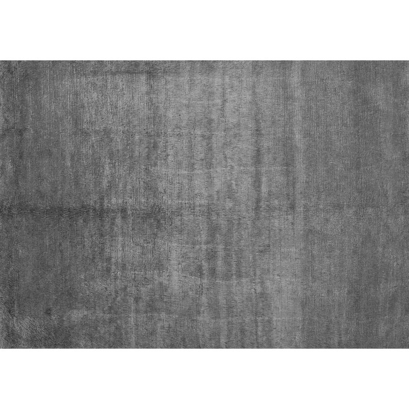 Arjunreddy Performance Indoor Rug, Rectangle 2' x 3'