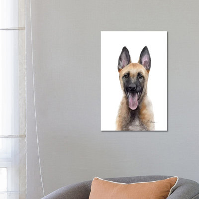 Belgian Malinois Puppy 1 Piece Wrapped Canvas Wall Art