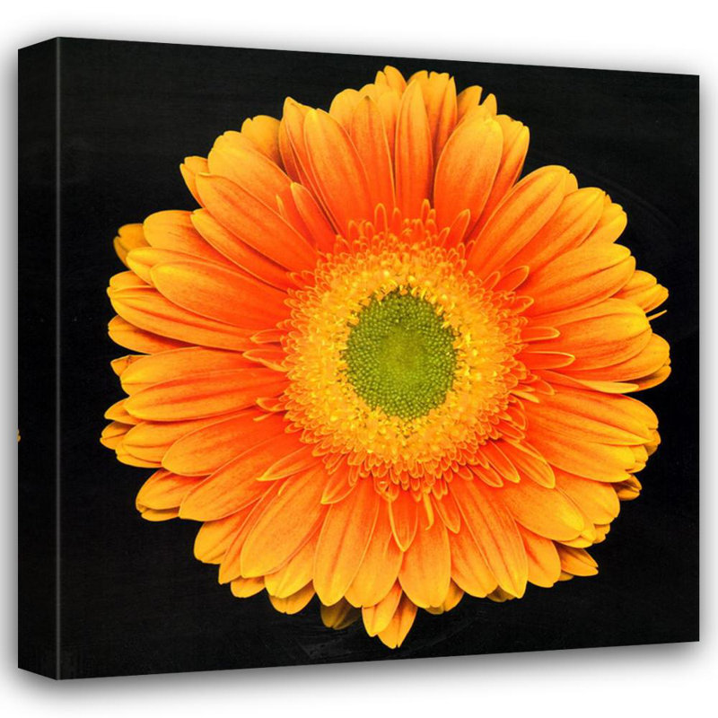 Radiance, 36" H x 36" W