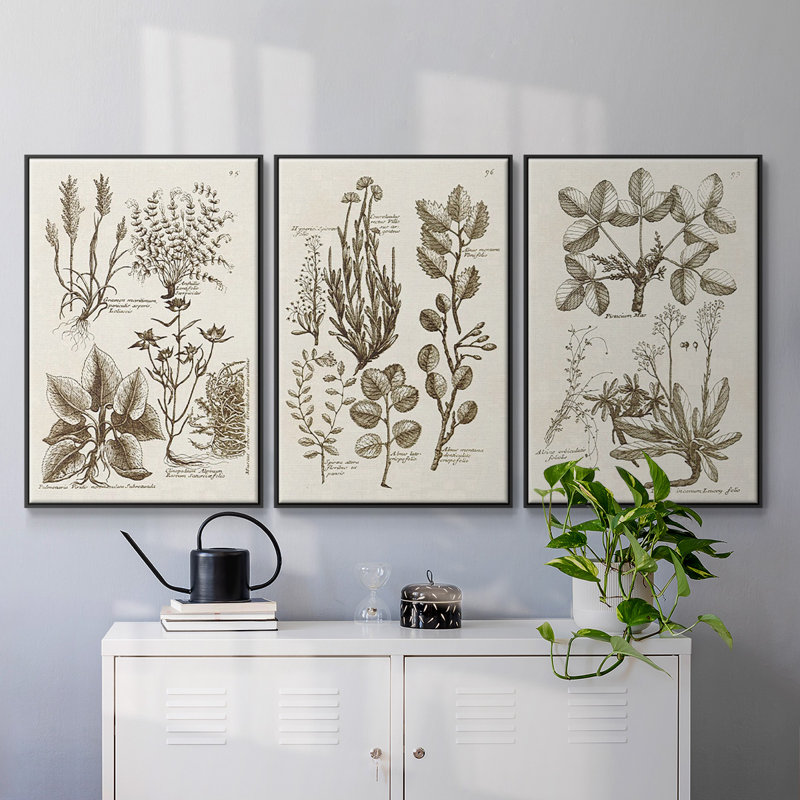 " Sepia Botanical Journal VI " 3 - Pieces, Noir, H 36 po x l 72 po x P 2 po