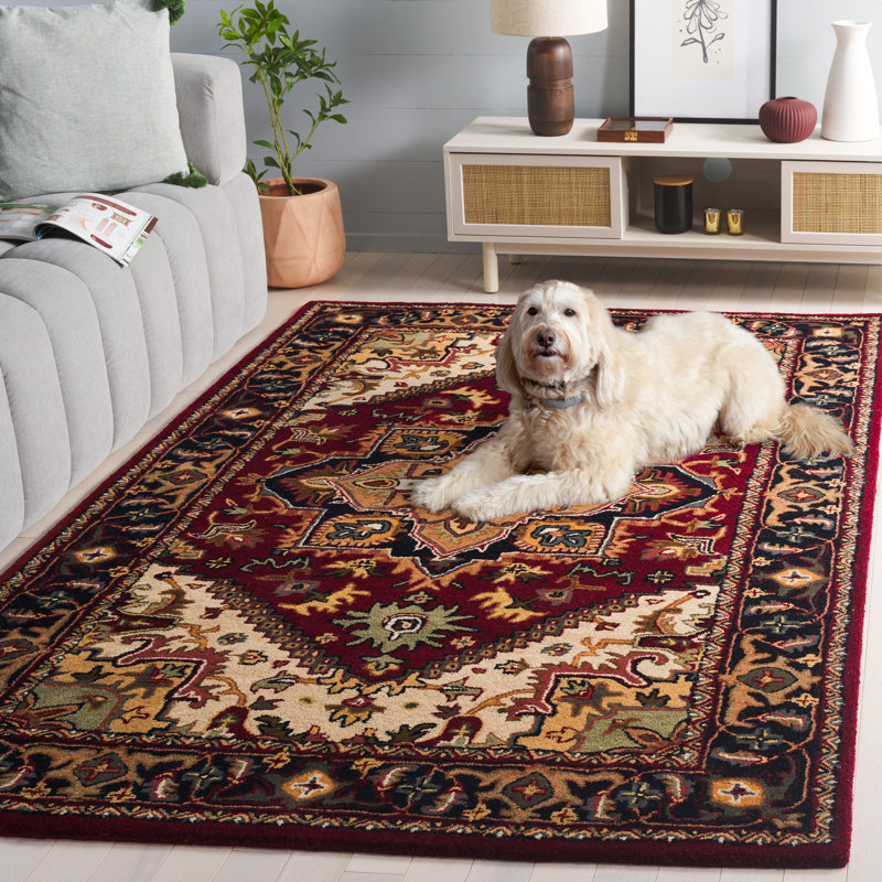 Tapis oriental en laine touffeté à la main Algier, Rectangle 5 pi x 8 pi