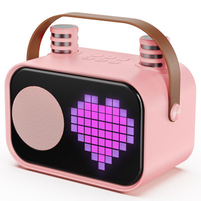 JYX Karaoke Infantil 5,3 avec 2 microfones et un cadre, une combinaison compacte avec fonction Karaokê, une connexion USB, une carte SD et une entrée AUX pour Uso Doméstico et Lazer