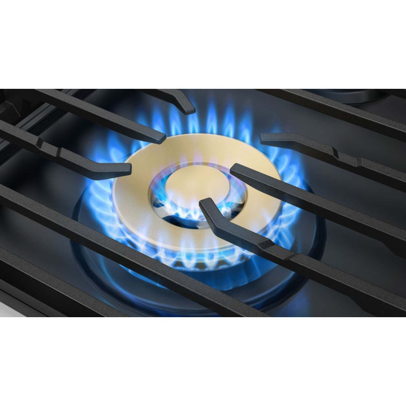 48" Pro-Range 6 Burners, Transitional, Silver, Natural Gas/Liquid Propane