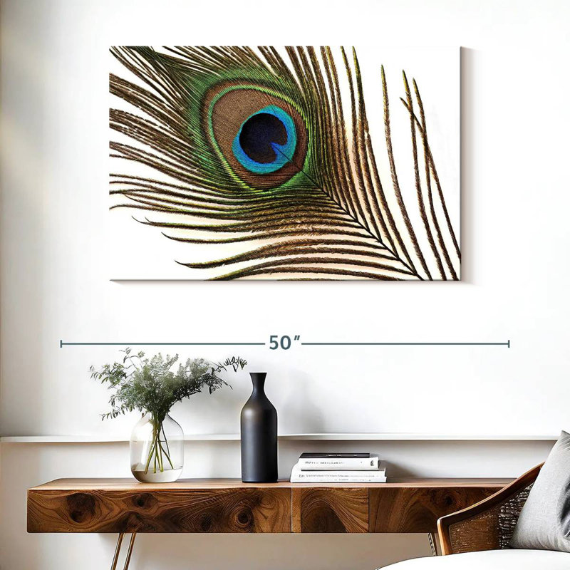 Plume de paon Brampt, H 26 po x l 39 po