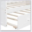 Canopy Day Bed With Trundle-931306671