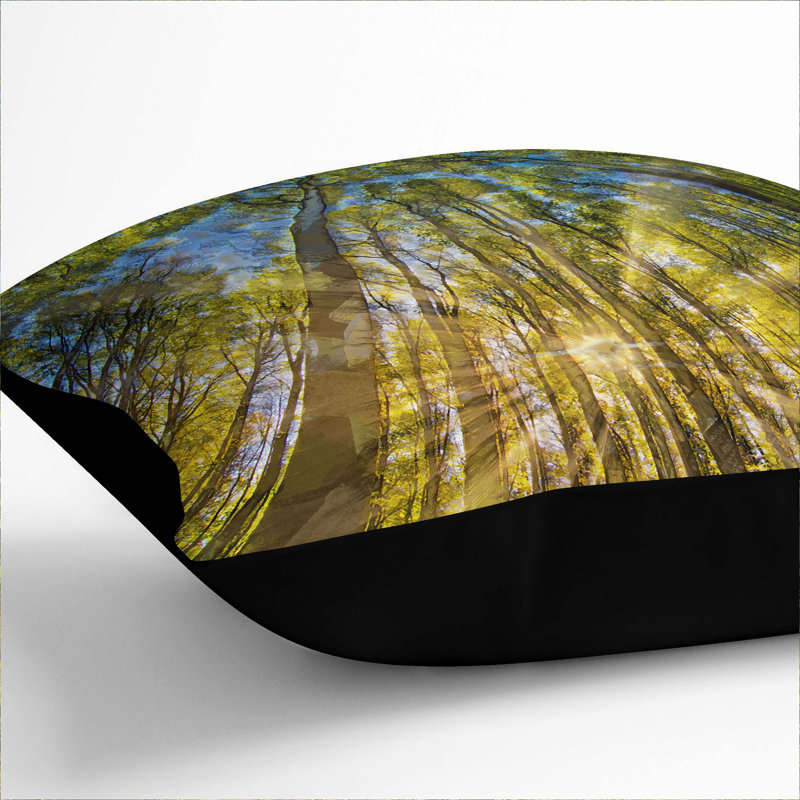 Square Throw Cushion, 55cm H x 55cm W x 20cm D, Black