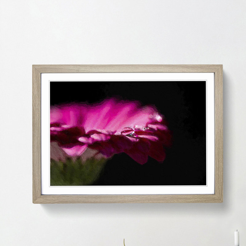 Pink Gerbera Flower - Picture Frame Painting Print, 36cm H x 48cm W x 2cm D, Oak Framed