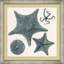 Ocean Jewel Collection 2 Framed Painting