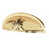 Polished Brass