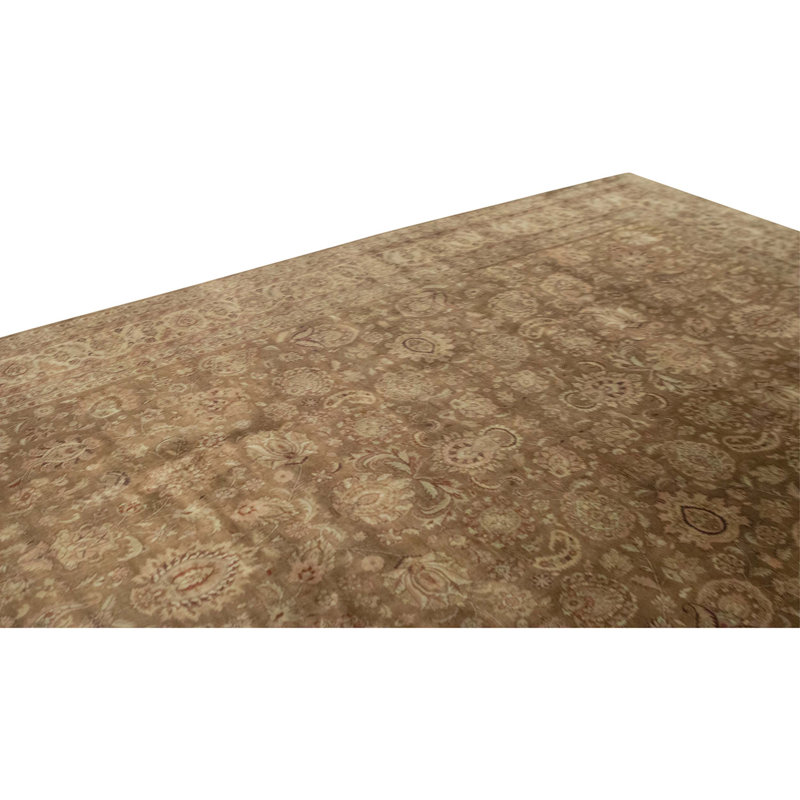 Hand Knotted Wool Area Rug in Brown And Beige