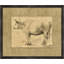 Charcoal Animal Collection 3 Print