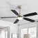 Derick 52'' 5-Blade Modern Ceiling Fan with LED Light and Remote Control