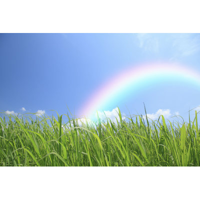" Rainbow In A Meadow " by Ks777