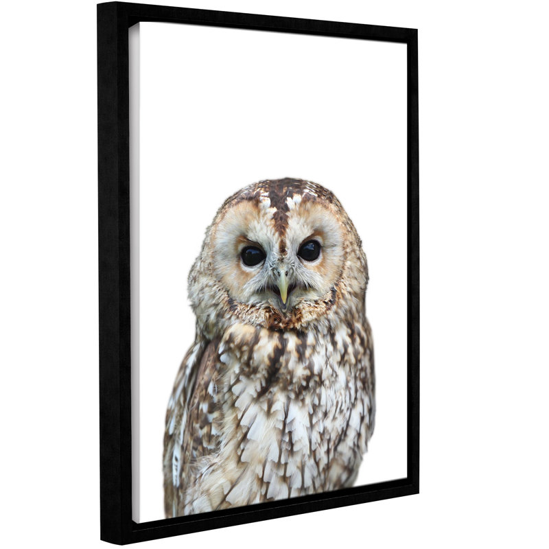 « hibou », reproduction de photo sur toile encadrée, H 10 po x l 8 po x P 2 po