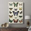 Flutterbys II - Cavas enveloppés de galerie-85924578