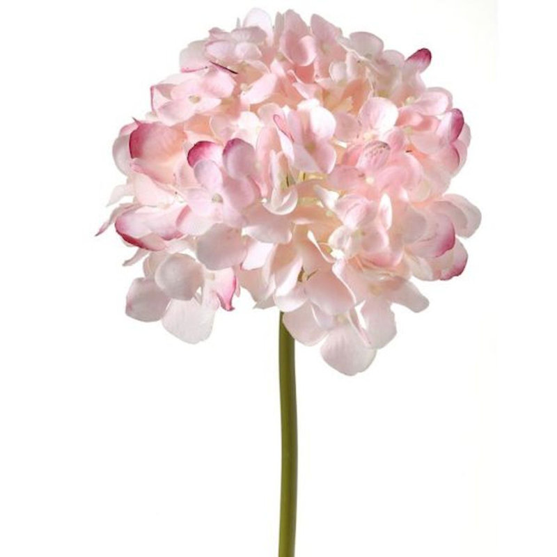 Hortensia fleur artificielle, Rosé