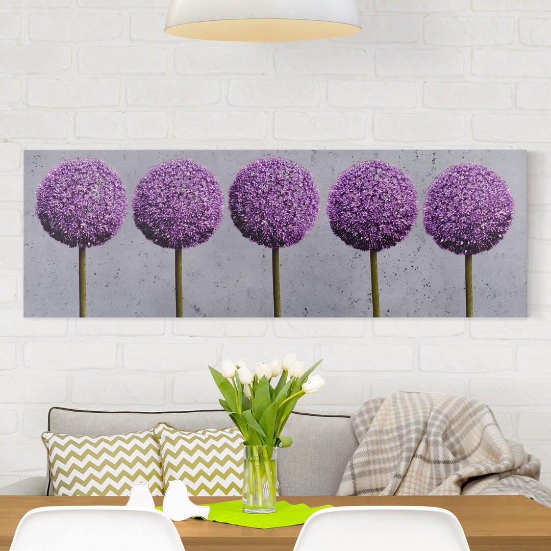 Leinwandbild Allium Kugel-Blüten