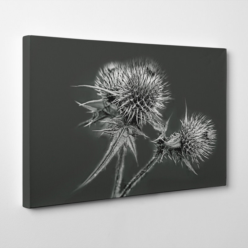 Wrapped Canvas Print, 35cm H x 50cm W