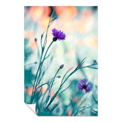 Purple Carnation Flower - No Frame Print