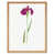 Light Brown Framed Paper