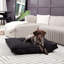 Lit pour chien Longwood-1435001561-1394409198