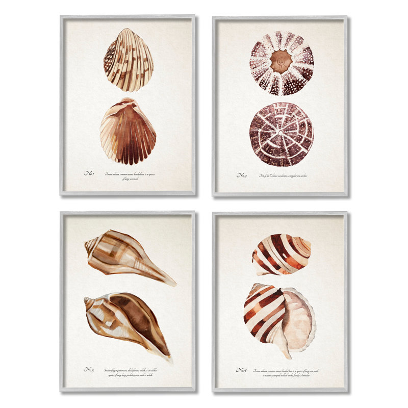 Elegant Beach Seashells Exquise Marine Life4pcAnnie Warren, H 11 po x l 14 po, Estampe numérique Farmhouse