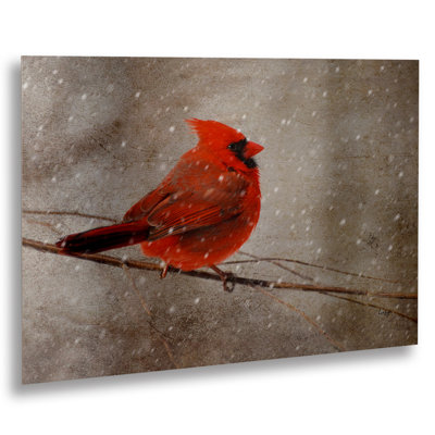 «Cardinal in Winter» par Kuehn, reproduction d'art sur métal